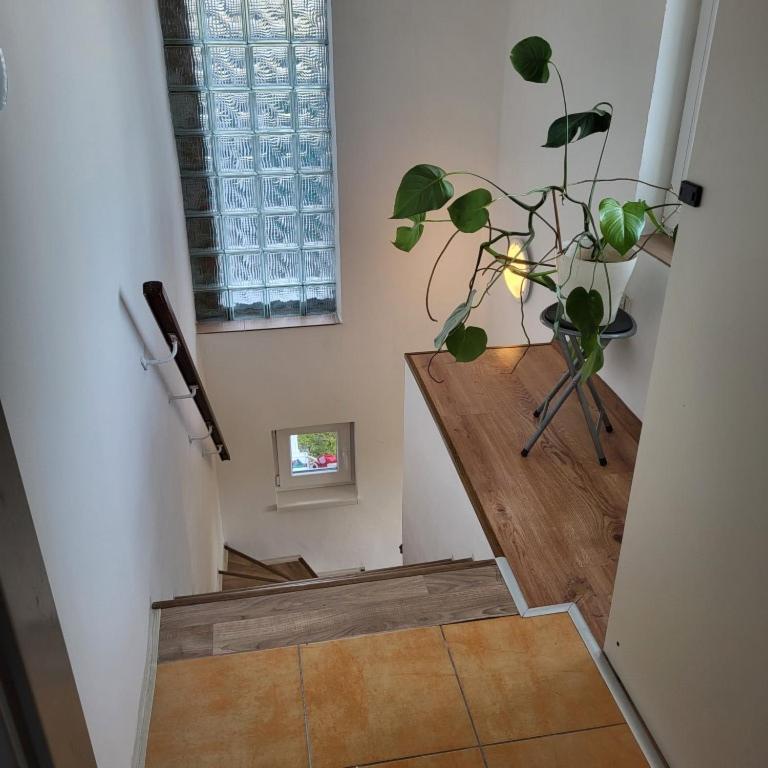 Apartman ,,Rokytka" Praha Bagian luar foto