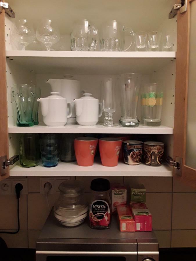 Apartman ,,Rokytka" Praha Bagian luar foto